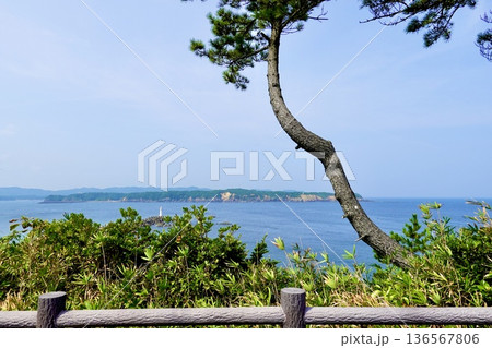 安乗埼(あのりざき)灯台がある安乗岬園地付近の風景 的矢湾を臨む 三重県志摩市阿児町 安乗埼(あのりざき)灯台がある安乗岬園地付近の風景 的矢湾を臨む 三重県志摩市阿児町 136567806
