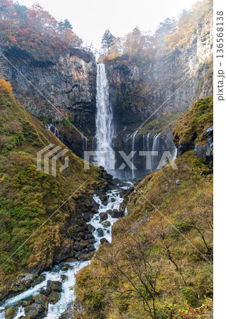 栃木県日光市中宮祠　華厳滝周辺の風景 136568138