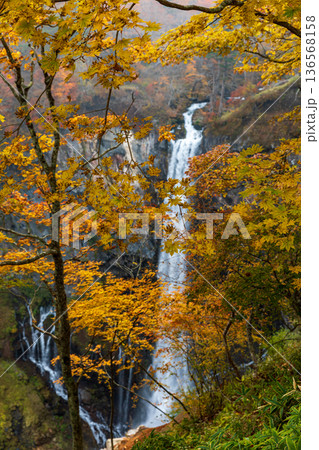 栃木県日光市中宮祠　華厳滝周辺の風景 136568158
