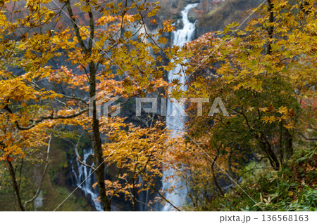 栃木県日光市中宮祠　華厳滝周辺の風景 136568163