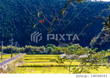 静岡県周智郡森町問詰 山里の風景 静岡県周智郡森町問詰 山里の風景 136568341