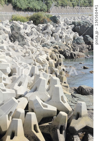 愛媛県伊予市　テトラポットのある風景 136568441