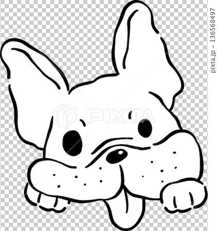 Surprised Face French Bulldog Tongue Out Oultine Hand Drawn Surprised Face French Bulldog Tongue Out Oultine Hand Drawn 136568497