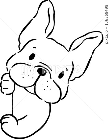 Cute French Bulldog Peeking Oultine Hand Drawn 136568498