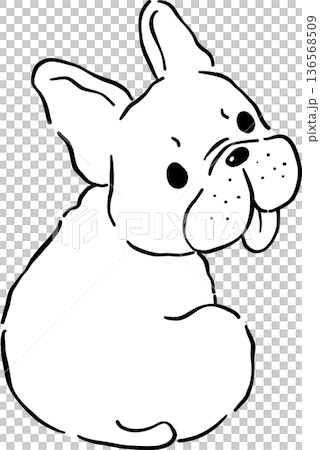Funny French Bulldog Outline Sitting Tongue Out Cartoon Hand Drawn Funny French Bulldog Outline Sitting Tongue Out Cartoon Hand Drawn 136568509