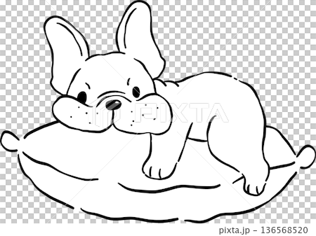 Grumpy french bulldog Outline on pillow hand drawn frenchie derp dog Grumpy french bulldog Outline on pillow hand drawn frenchie derp dog 136568520