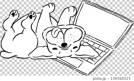 Rolling belliy up french bulldog Outline on laptop hand drawn frenchie derp dog Rolling belliy up french bulldog Outline on laptop hand drawn frenchie derp dog 136568525