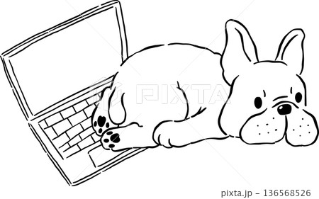 Sploot french bulldog Outline on laptop hand drawn frenchie derp dog 136568526