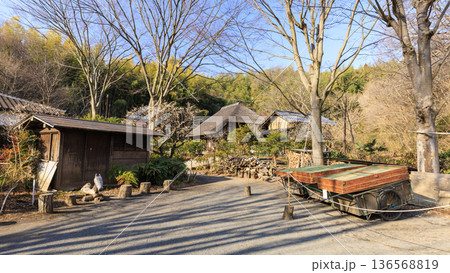 横浜市戸塚区の舞岡ふるさと公園の冬 136568819