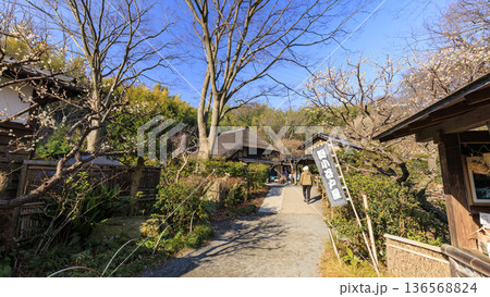 横浜市戸塚区の舞岡ふるさと公園の冬 136568824