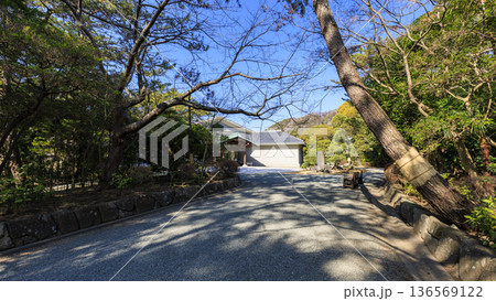 葉山しおさい公園の早春 葉山しおさい公園の早春 136569122