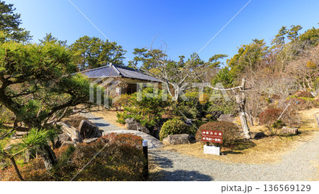 葉山しおさい公園の早春 葉山しおさい公園の早春 136569129