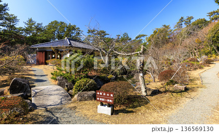 葉山しおさい公園の早春 136569130