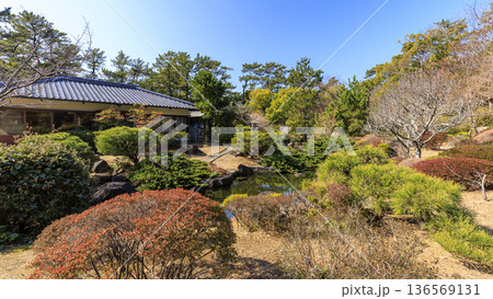 葉山しおさい公園の早春 葉山しおさい公園の早春 136569131