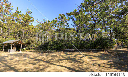 葉山しおさい公園の早春 葉山しおさい公園の早春 136569148