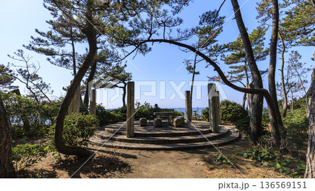 葉山しおさい公園の早春 136569151