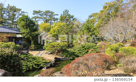 葉山しおさい公園の早春 葉山しおさい公園の早春 136569154