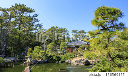 葉山しおさい公園の早春 葉山しおさい公園の早春 136569155