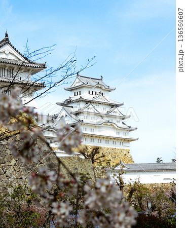春の青空と兵庫県姫路市にある世界文化遺産国宝姫路城 136569607