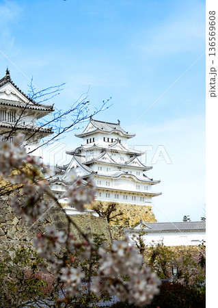 春の青空と兵庫県姫路市にある世界文化遺産国宝姫路城 136569608