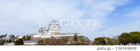 春の青空と兵庫県姫路市にある世界文化遺産国宝姫路城 136569609