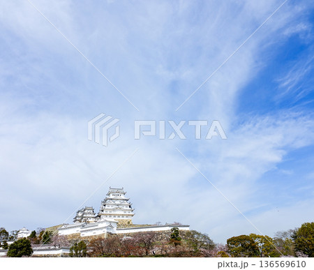 春の青空と兵庫県姫路市にある世界文化遺産国宝姫路城 136569610