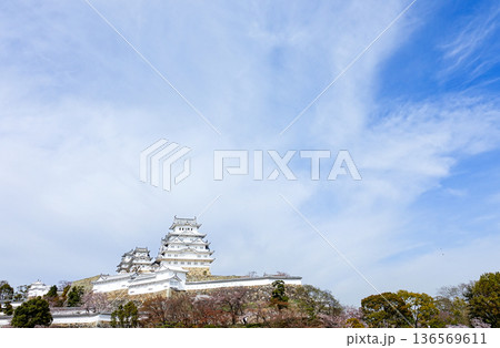 春の青空と兵庫県姫路市にある世界文化遺産国宝姫路城 136569611