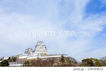 春の青空と兵庫県姫路市にある世界文化遺産国宝姫路城 136569612