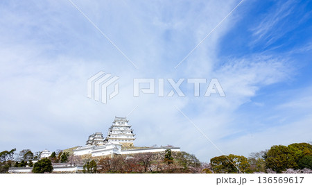 春の青空と兵庫県姫路市にある世界文化遺産国宝姫路城 136569617