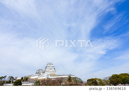 春の青空と兵庫県姫路市にある世界文化遺産国宝姫路城 136569618