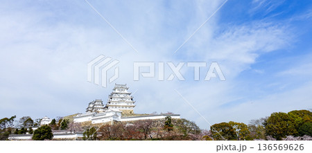 春の青空と兵庫県姫路市にある世界文化遺産国宝姫路城 136569626