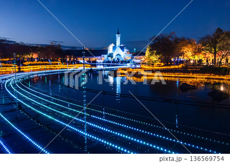 水面に映る紅葉とイルミネーション 136569754