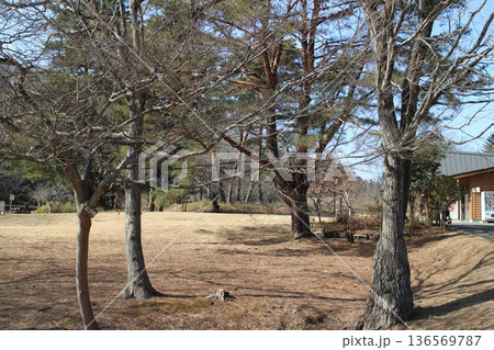 宮城県仙台市泉区 冬の水の森公園 宮城県仙台市泉区 冬の水の森公園 136569787