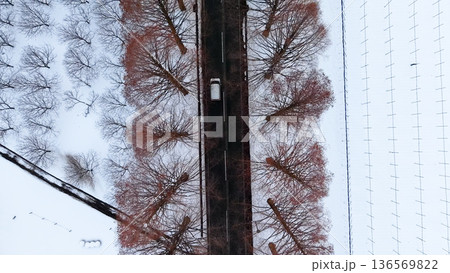 冬の日本の街路樹と道路を俯瞰したドローンショット 136569822