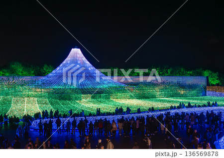 イルミネーションで楽しむ人々 イルミネーションで楽しむ人々 136569878