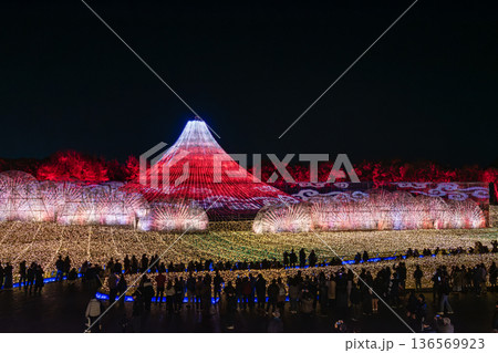 イルミネーションで楽しむ人々 136569923
