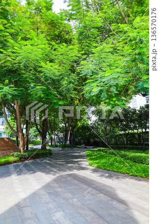 緑の多いビルのエントランス 緑の多いビルのエントランス 136570176