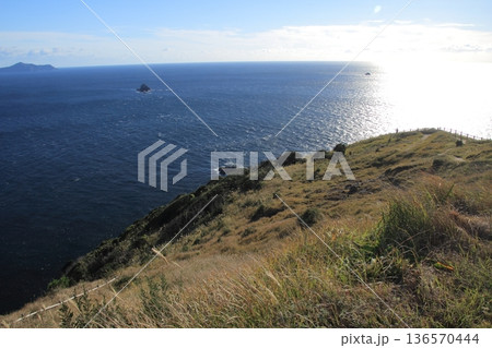 愛媛県愛南町　高茂岬の風景 136570444