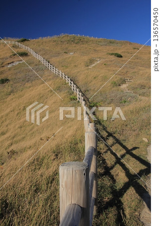 愛媛県愛南町　高茂岬の風景 136570450