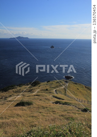 愛媛県愛南町　高茂岬の風景 136570454