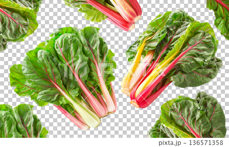 Fresh rainbow Swiss chard leaves with vivid red and yellow stems arranged in a seamless pattern isolated on white background Fresh rainbow Swiss chard leaves with vivid red and yellow stems arranged in a seamless pattern isolated on white background 136571358