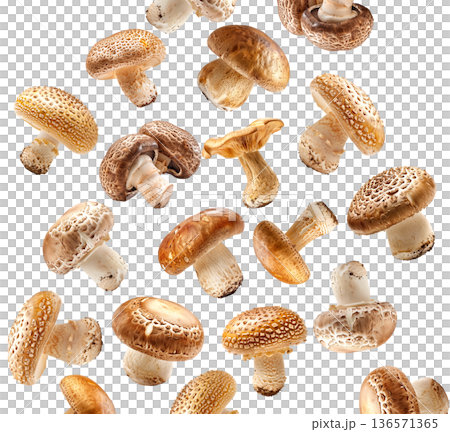 Collection of wild mushrooms with detailed textured caps, isolated on white background. Concept of fungi diversity Collection of wild mushrooms with detailed textured caps, isolated on white background. Concept of fungi diversity 136571365