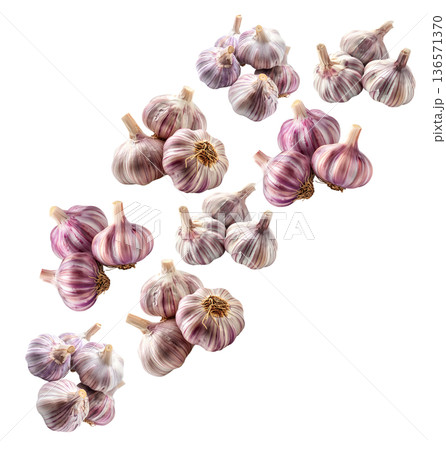 Multiple whole garlic bulbs arranged in a seamless pattern, isolated on white background. Concept of organic food and culinary spice Multiple whole garlic bulbs arranged in a seamless pattern, isolated on white background. Concept of organic food and culinary spice 136571370