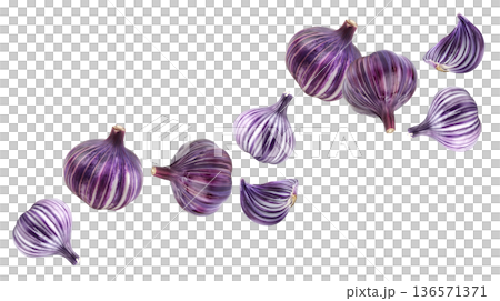 Multiple striped purple onions and slices isolated on white background, food concept emphasizing color and texture 136571371