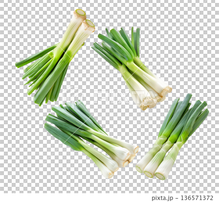 Multiple fresh green leek bunches isolated on white background, representing organic vegetables concept 136571372
