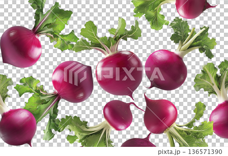 Fresh purple turnips or radish with green leaves scattered and isolated on white background, organic farming and healthy food Fresh purple turnips or radish with green leaves scattered and isolated on white background, organic farming and healthy food 136571390