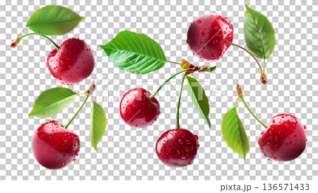 Juicy red cherries with fresh green leaves and water droplets, isolated on a white background, concept of freshness 136571433