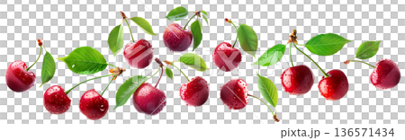 Juicy red cherries with fresh green leaves and water droplets, isolated on a white background, concept of freshness 136571434