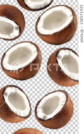Halved ripe coconuts with fibrous brown shells and white meat, isolated on white background, concept of tropical fruits 136571435
