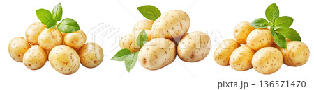 Fresh potatoes with green leaves isolated on white transparent background. Concept of healthy food 136571470